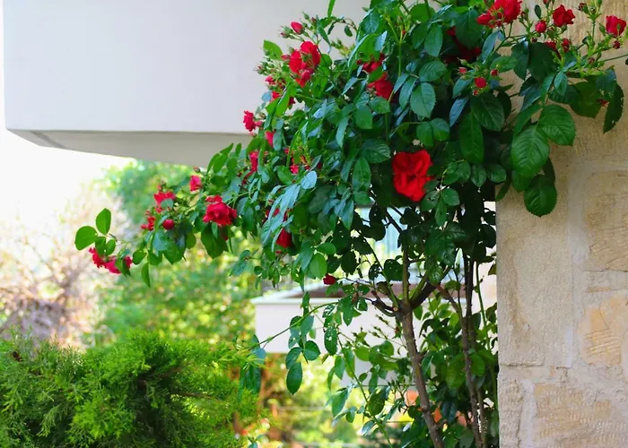 Lirtzis Villa Taxiarkhis (Aristotelis)