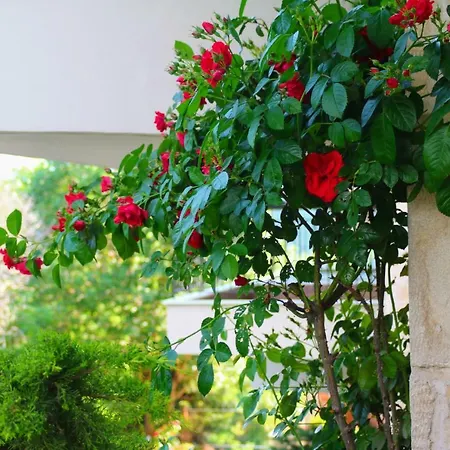 Lirtzis Βίλα Ταξιάρχης